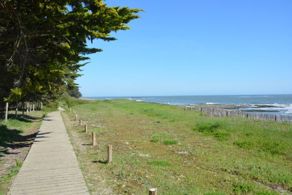 Les environs du Roaliguen